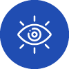 Vision